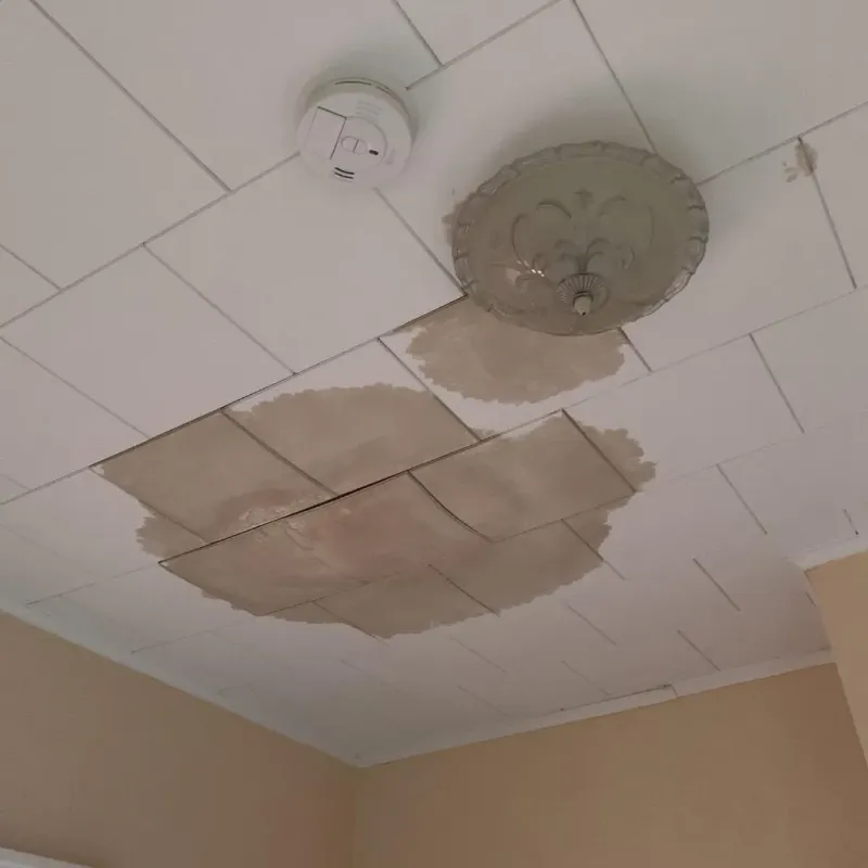 Ceiling Water Damage Repair in Canajoharie, NY