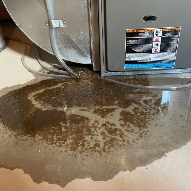 Pipe Burst and Leak Restoration in Canajoharie, NY